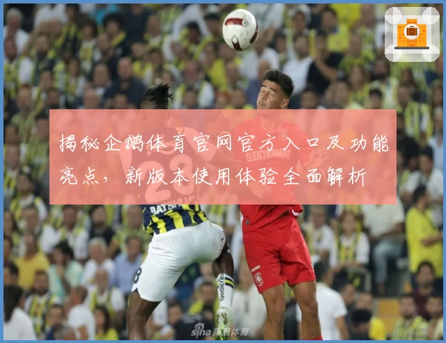 揭秘企鹅体育官网官方入口及功能亮点，新版本使用体验全面解析