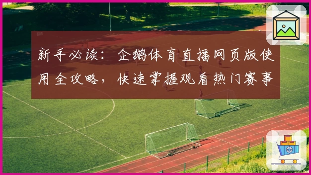 新手必读：企鹅体育直播网页版使用全攻略，快速掌握观看热门赛事的方法