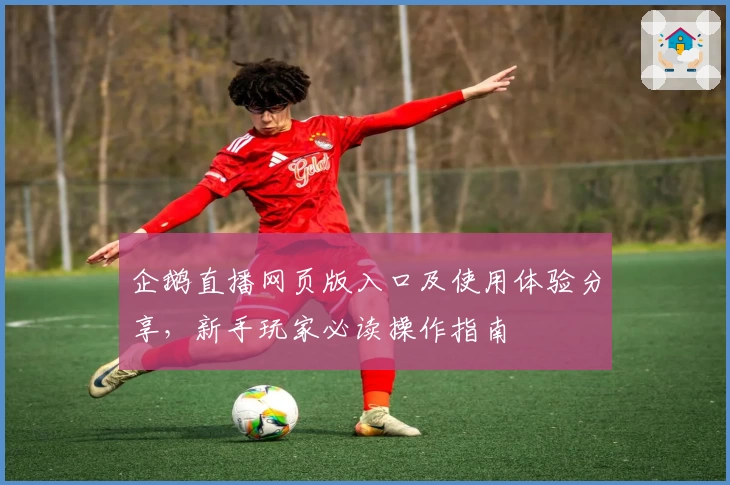 企鹅直播网页版入口及使用体验分享，新手玩家必读操作指南