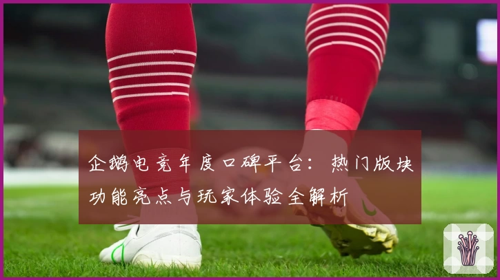 企鹅电竞年度口碑平台：热门版块功能亮点与玩家体验全解析