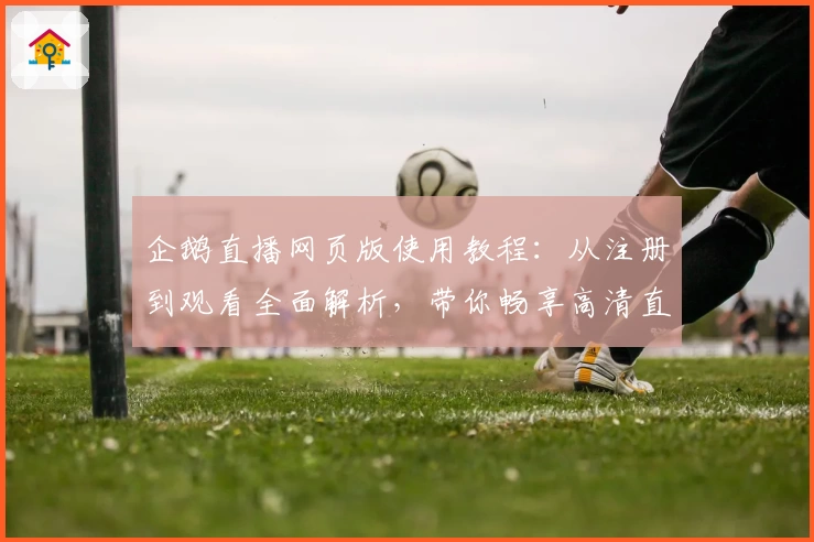 企鹅直播网页版使用教程：从注册到观看全面解析，带你畅享高清直播体验