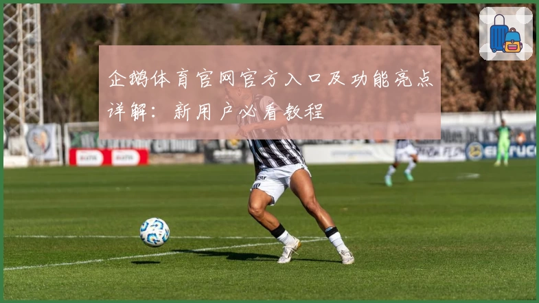 企鹅体育官网官方入口及功能亮点详解：新用户必看教程