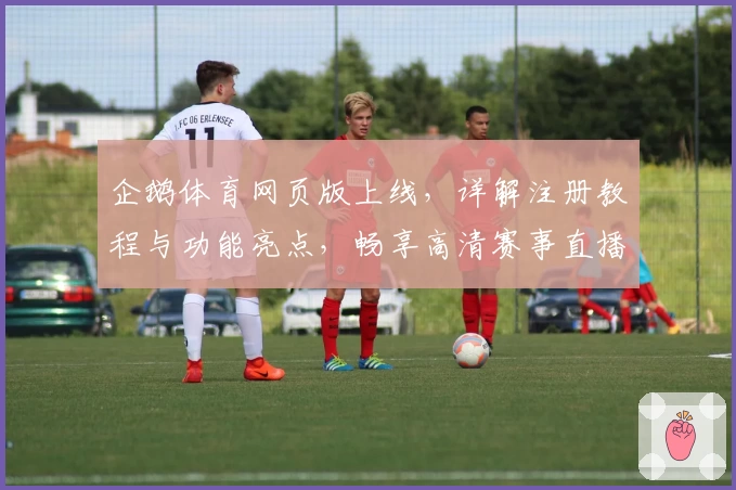 企鹅体育网页版上线，详解注册教程与功能亮点，畅享高清赛事直播新体验