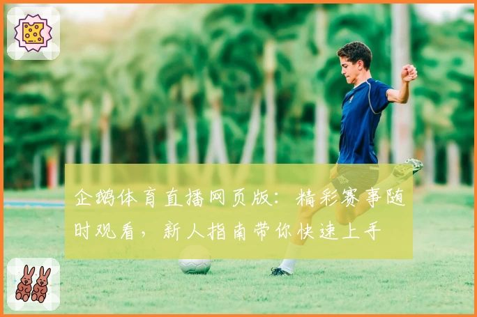 企鹅体育直播网页版：精彩赛事随时观看，新人指南带你快速上手