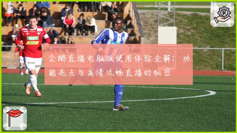 企鹅直播电脑版使用体验全解：功能亮点与高清流畅直播的秘密