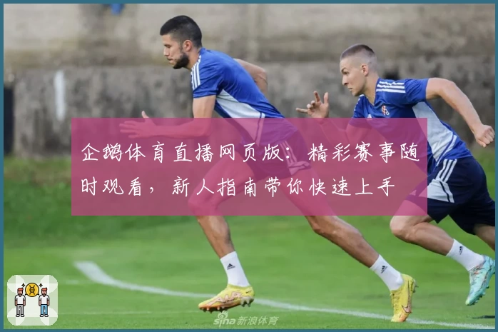 企鹅体育直播网页版：精彩赛事随时观看，新人指南带你快速上手