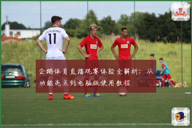 企鹅体育直播观赛体验全解析：从功能亮点到电脑版使用教程